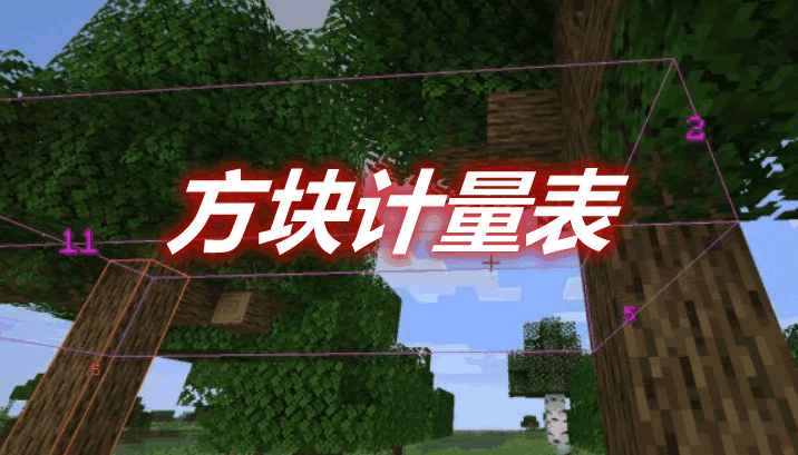 [1.15.2-1.17]方块计量表 BlockMeterFabric MOD  第1张