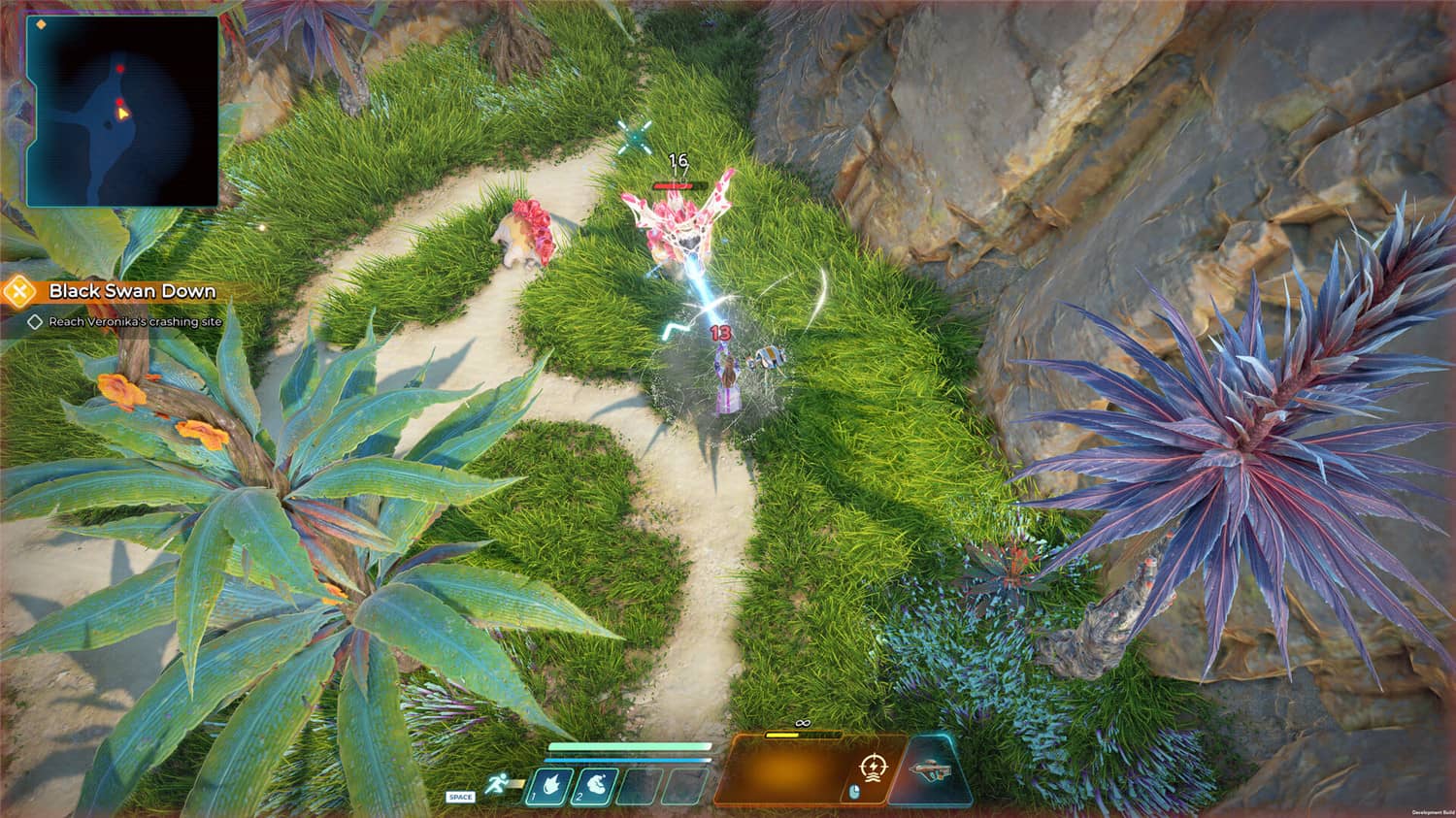 天鹅座企业/Cygnus Enterprises 第1张 天鹅座企业/Cygnus Enterprises 第1张