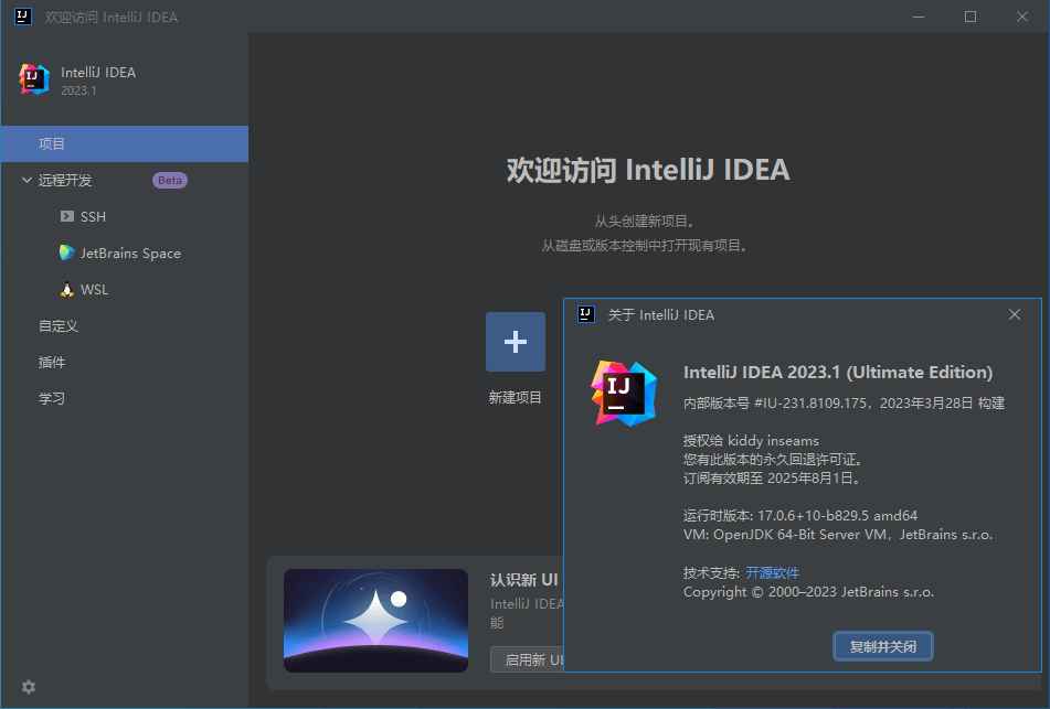 IntelliJ IDEA 2023.2.1 IDEA2023中文激活版  第1张 IntelliJ IDEA 2023.2.1 IDEA2023中文激活版  第1张