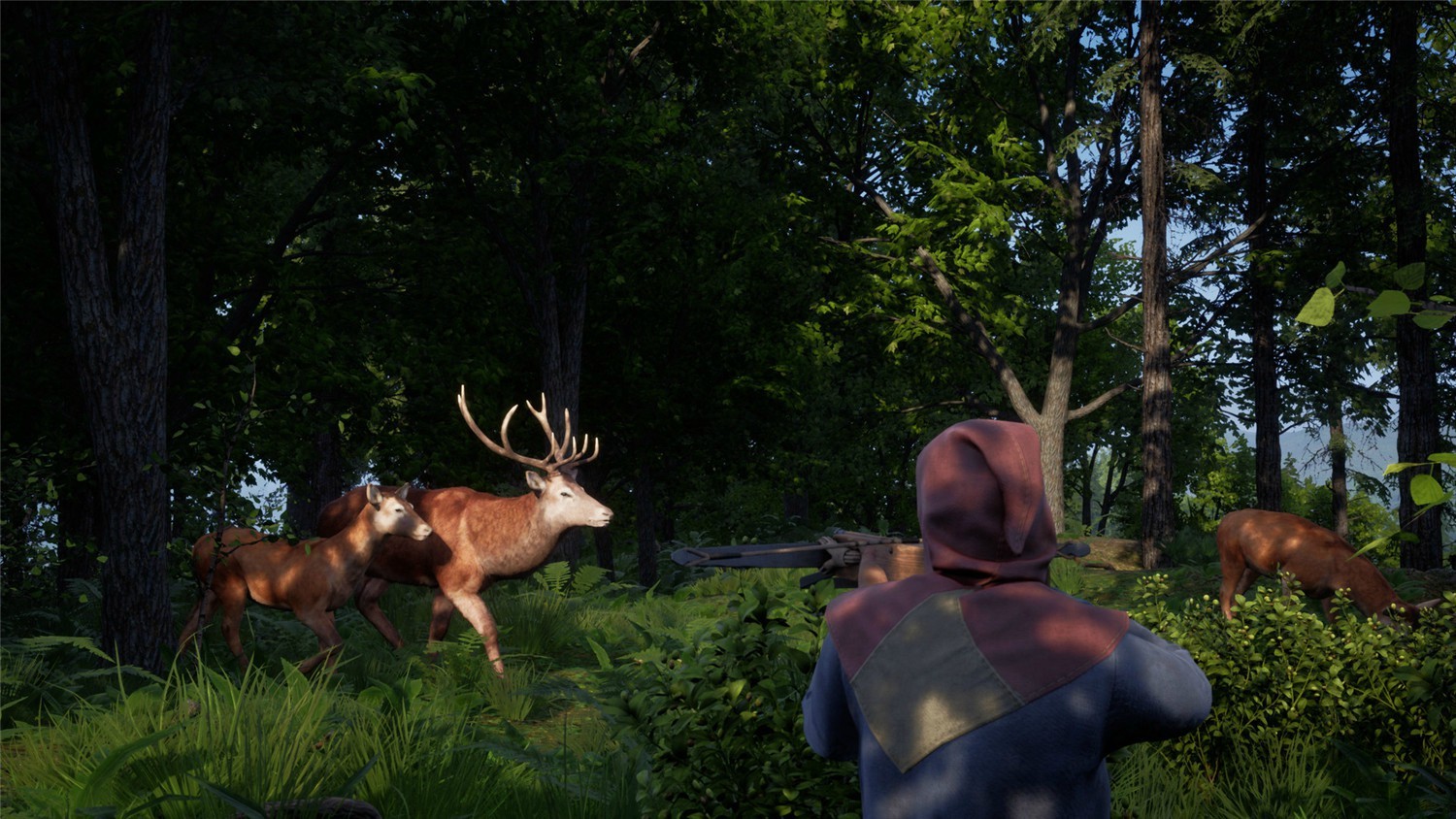 中世纪王朝/Medieval Dynasty/支持网络联机  第3张 中世纪王朝/Medieval Dynasty/支持网络联机  第3张