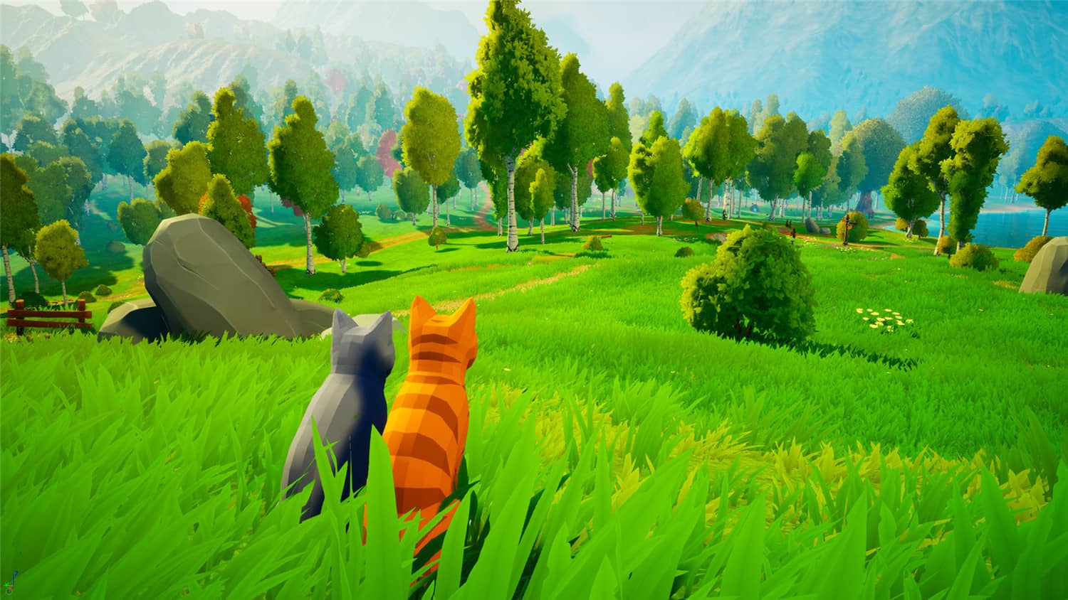 猫咪小镇/Cat Town  第3张 猫咪小镇/Cat Town  第3张