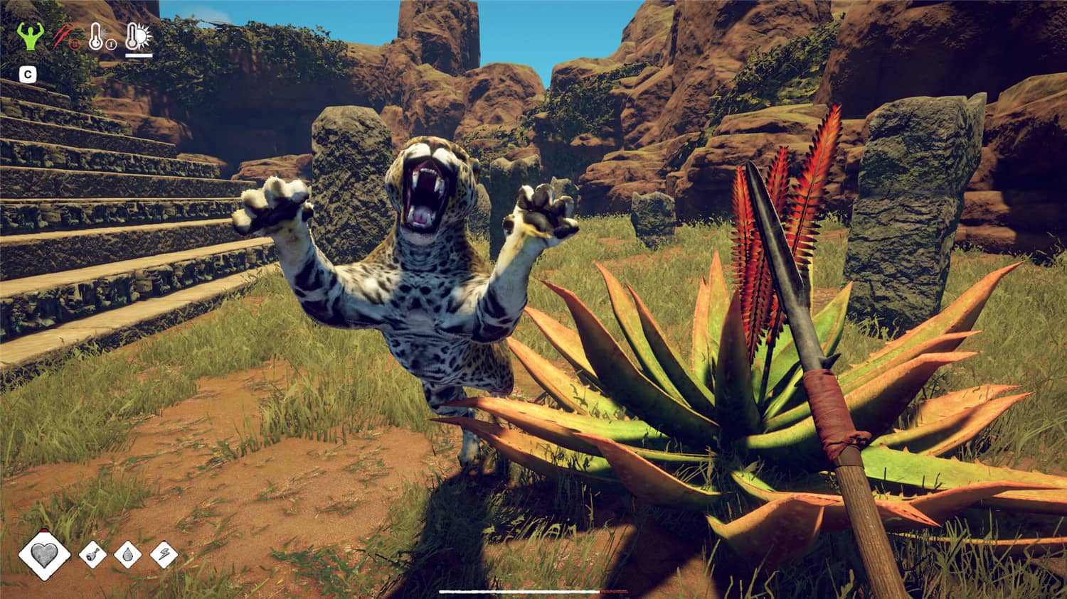 求生岛:不老泉传说/Survival: Fountain of Youth 第1张 求生岛:不老泉传说/Survival: Fountain of Youth 第1张