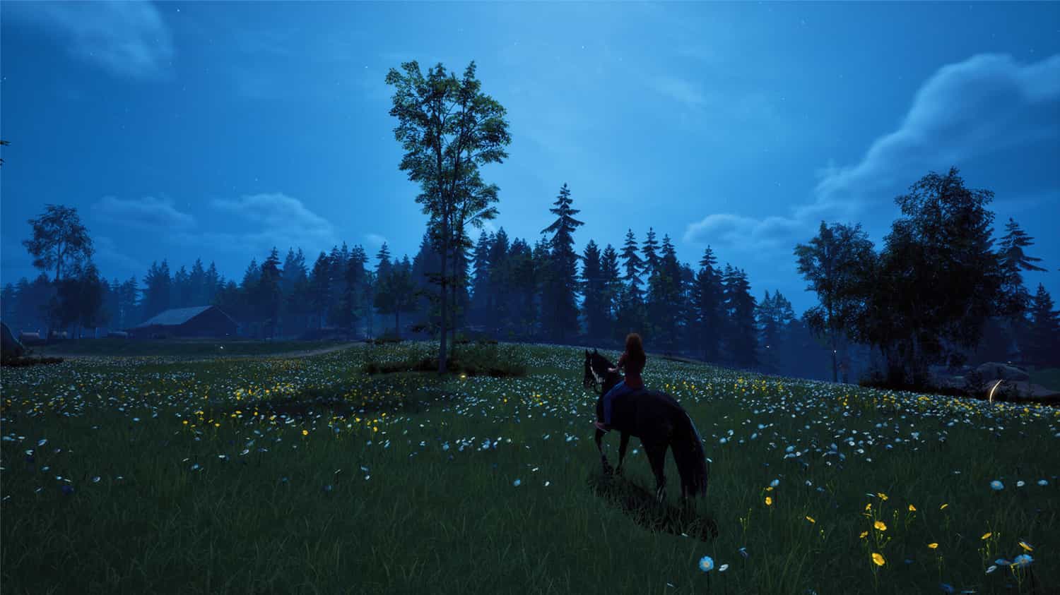 风暴:深厚友谊的开始 重制版/Windstorm: Start of a Great Friendship - Remastered 第1张 风暴:深厚友谊的开始 重制版/Windstorm: Start of a Great Friendship - Remastered 第1张