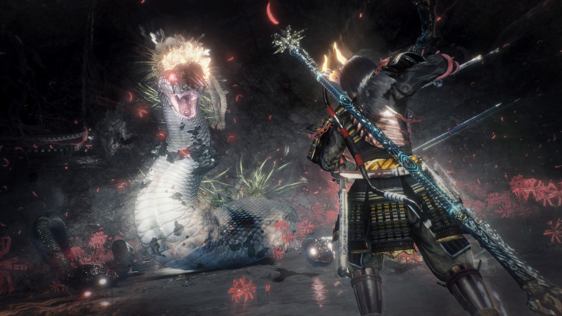 仁王2：完整版/Nioh 2 – The Complete Edition  第1张