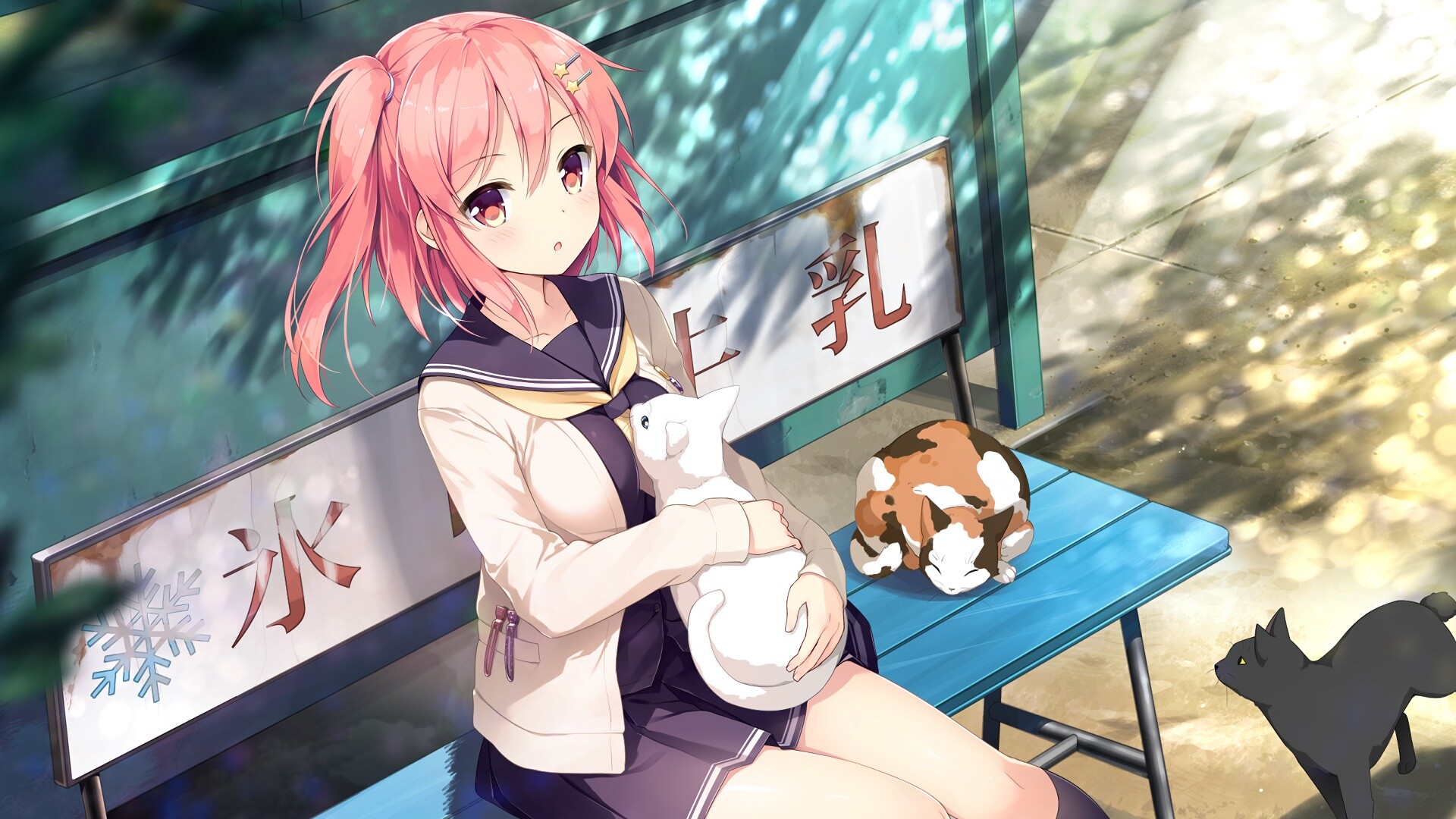 想要传达给你的爱恋/Koi x Shin Ai Kanojo  第4张