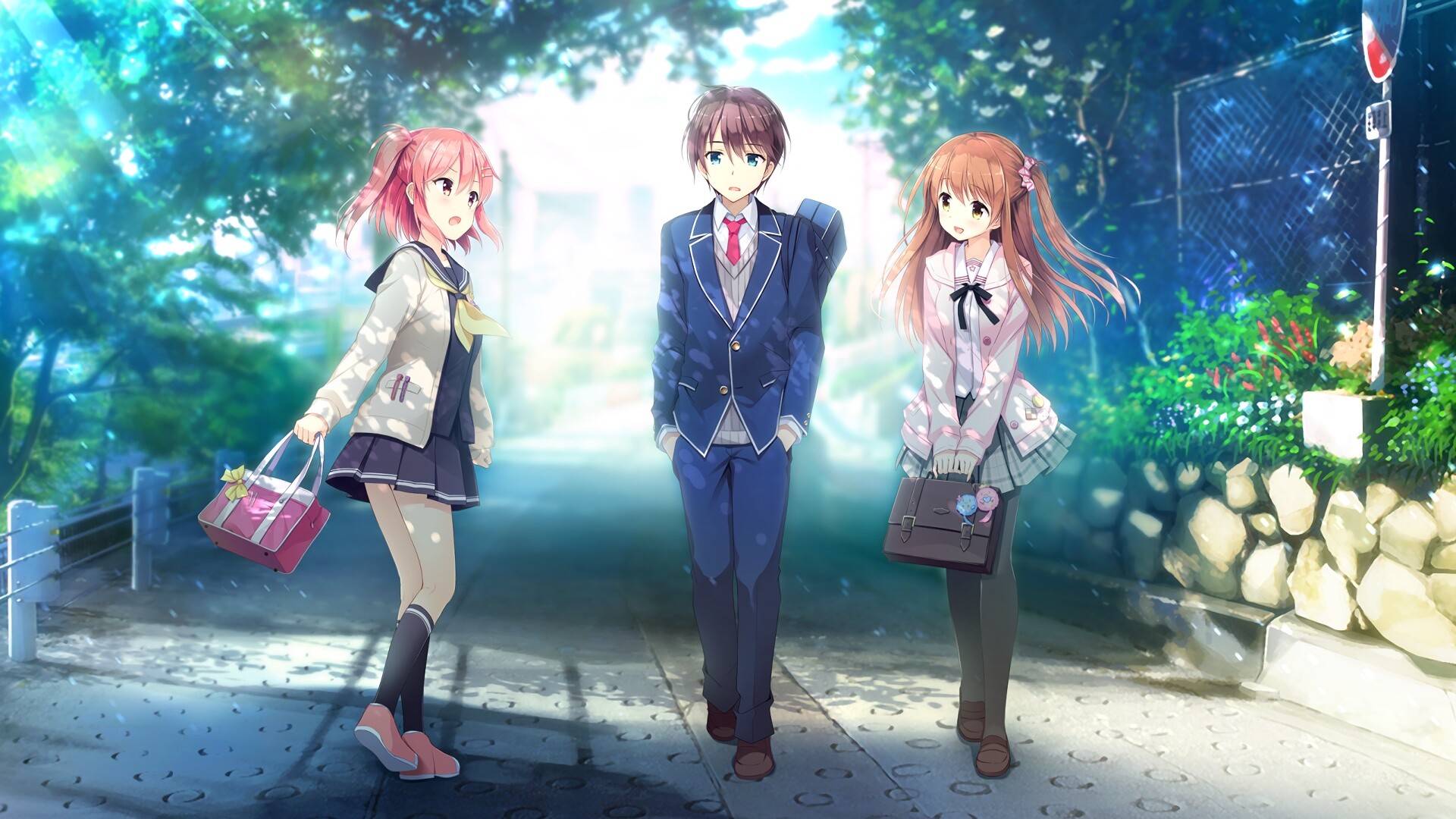 想要传达给你的爱恋/Koi x Shin Ai Kanojo  第5张