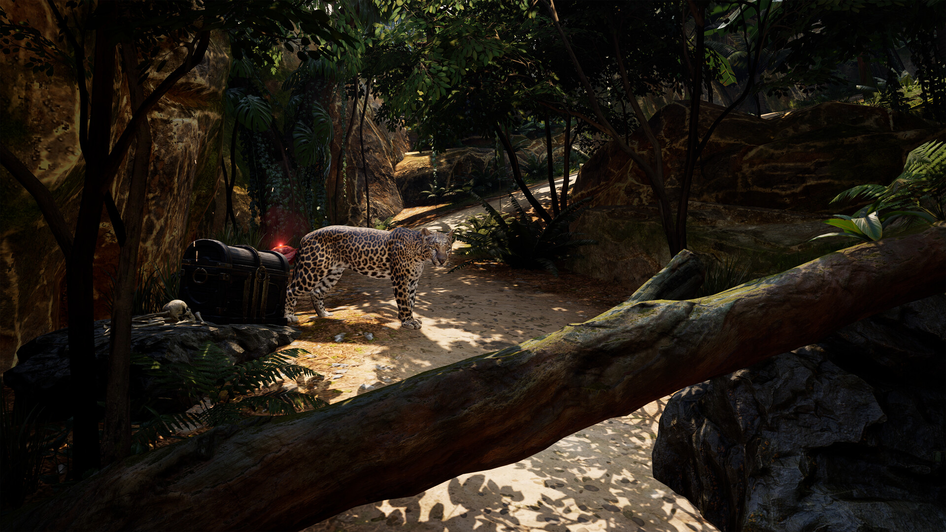 海盗VR: 海盗旗/Pirates VR: Jolly Roger  第2张 海盗VR: 海盗旗/Pirates VR: Jolly Roger  第2张