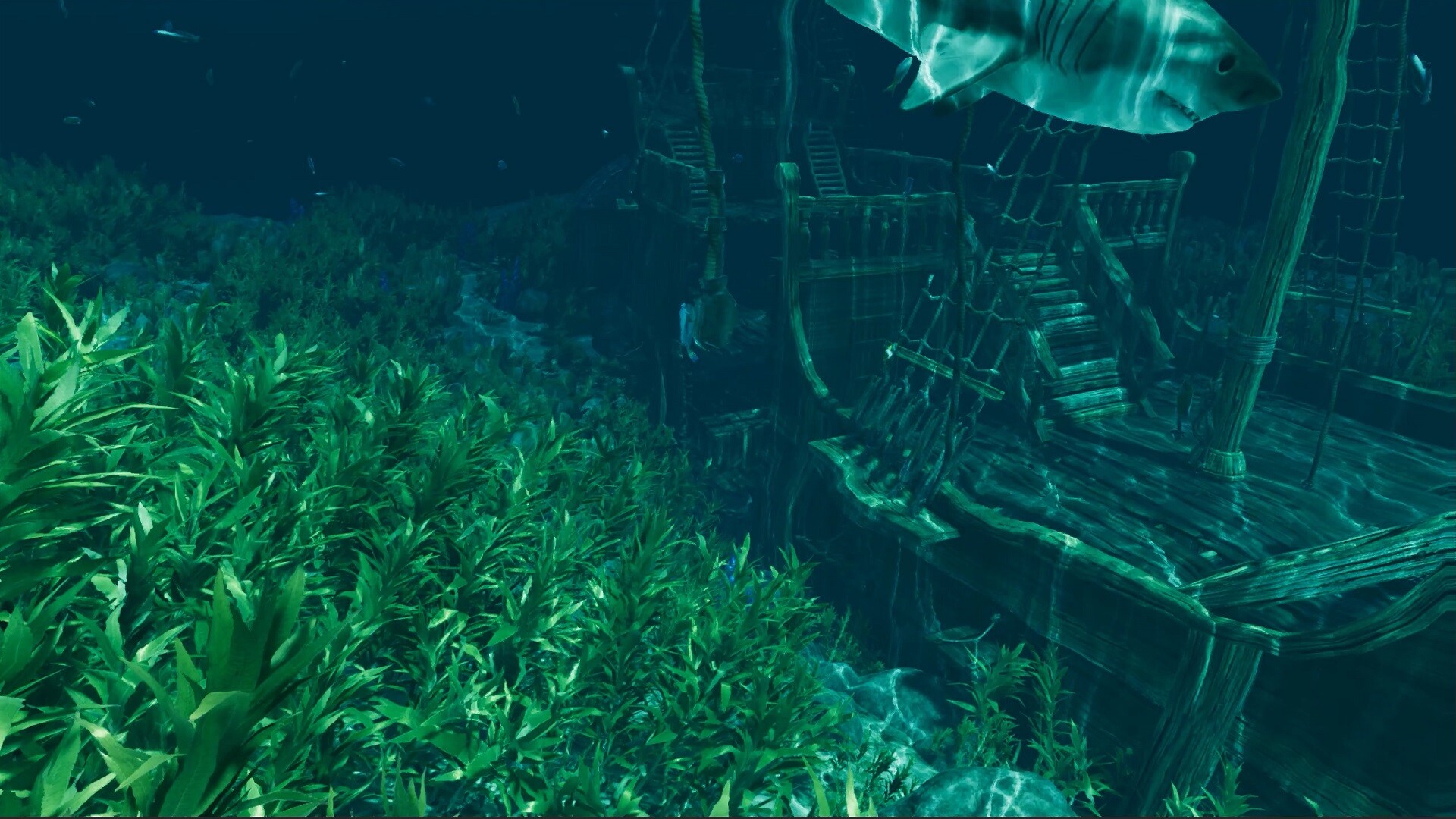 孤岛笔记/Island Notes  第3张 孤岛笔记/Island Notes  第3张