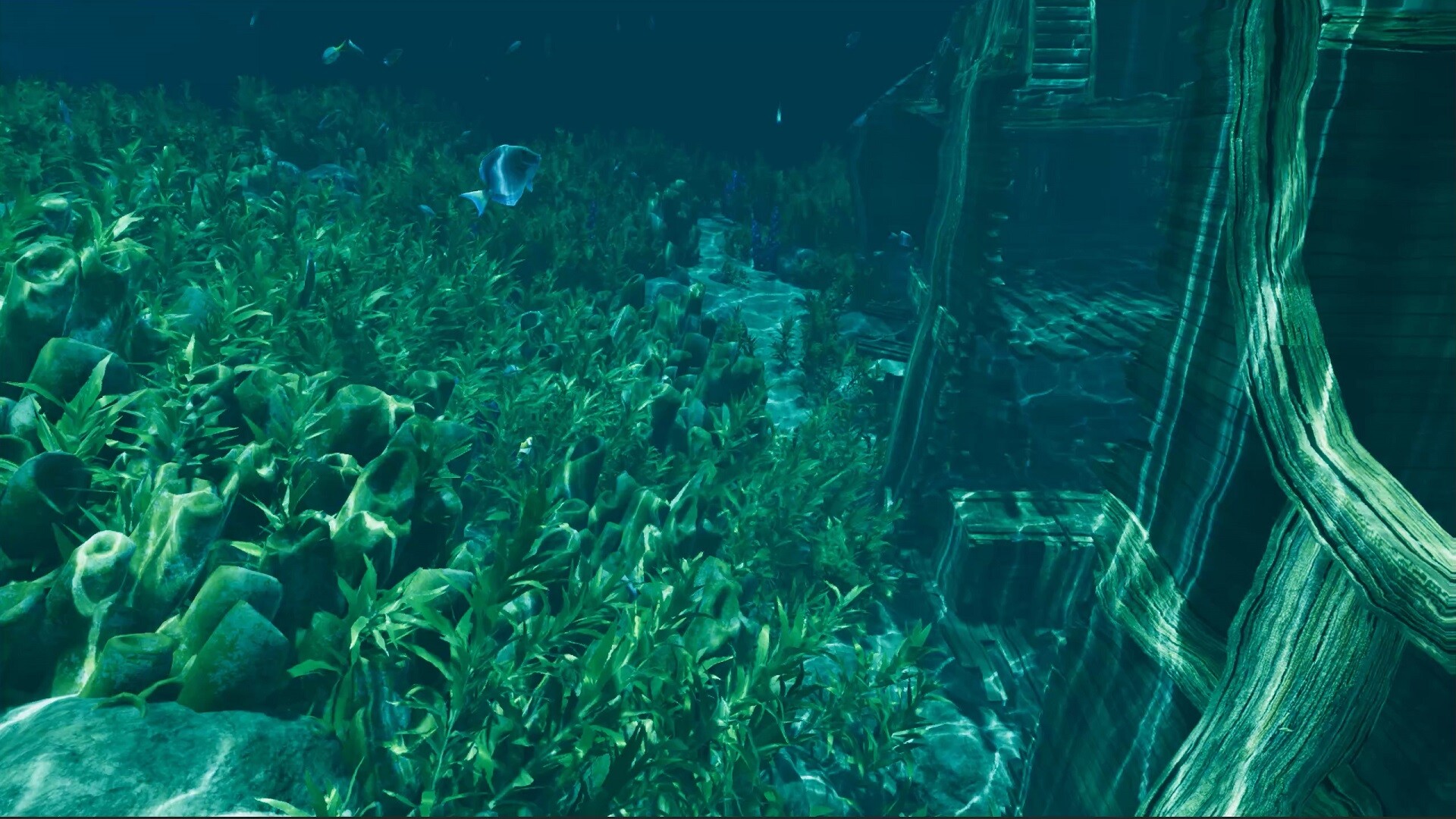 孤岛笔记/Island Notes  第2张 孤岛笔记/Island Notes  第2张