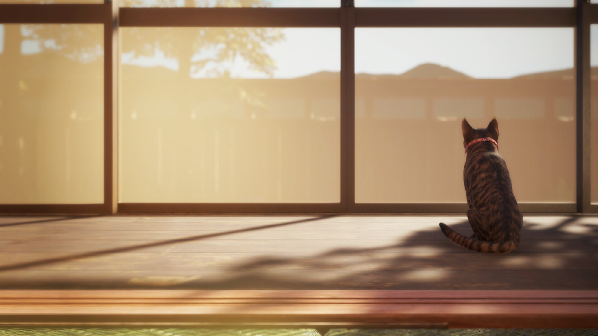 猫还在逃吗?/Still It Runs 第3张 猫还在逃吗?/Still It Runs 第3张